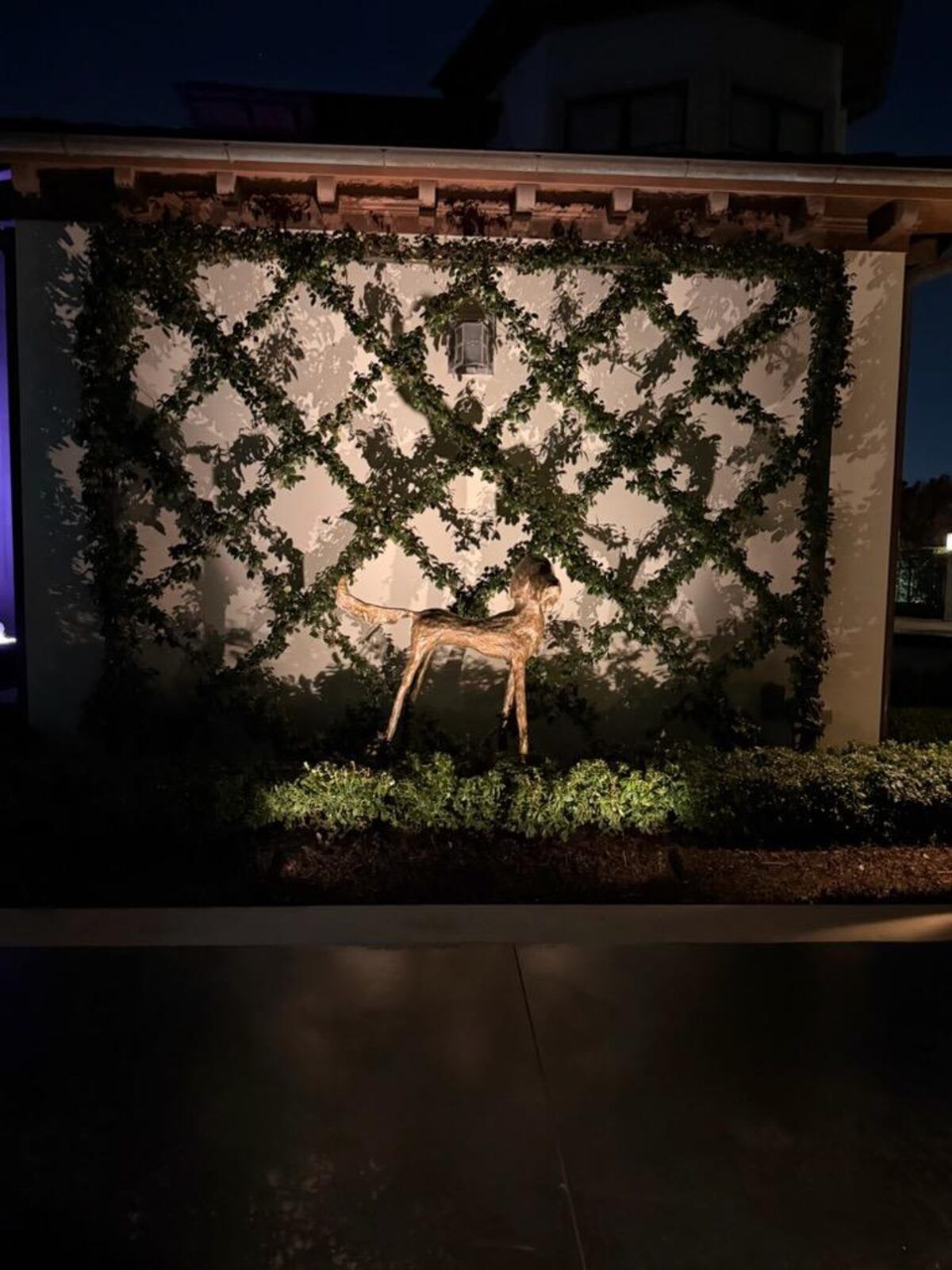 Same entry feature at night with lighting